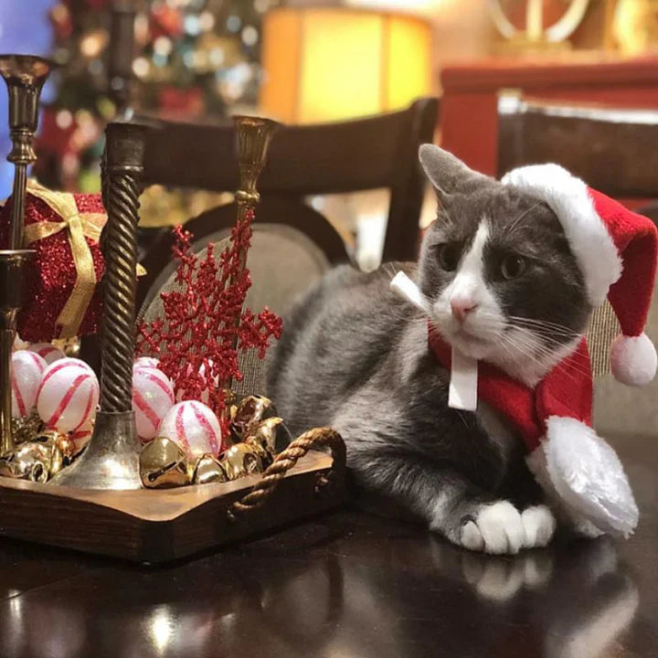 Casquette de Noël avec Écharpe pour Animaux Domestiques