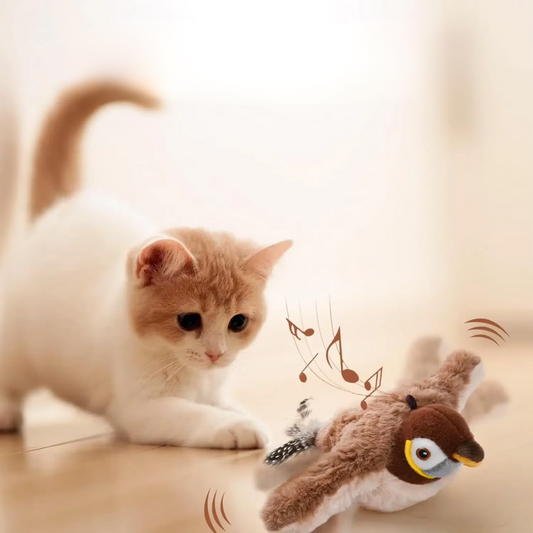 Sflatant Oiseau Jouet Pour Chat Perroquet