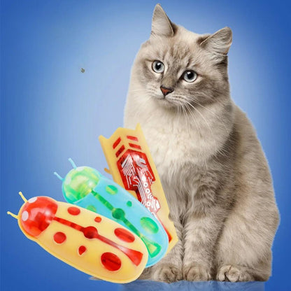 Jouet Cafard Pour Chats