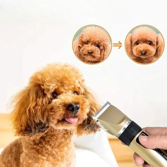 Tondeuse Silencieuse Pour Poils - Ensemble Pour Chiens