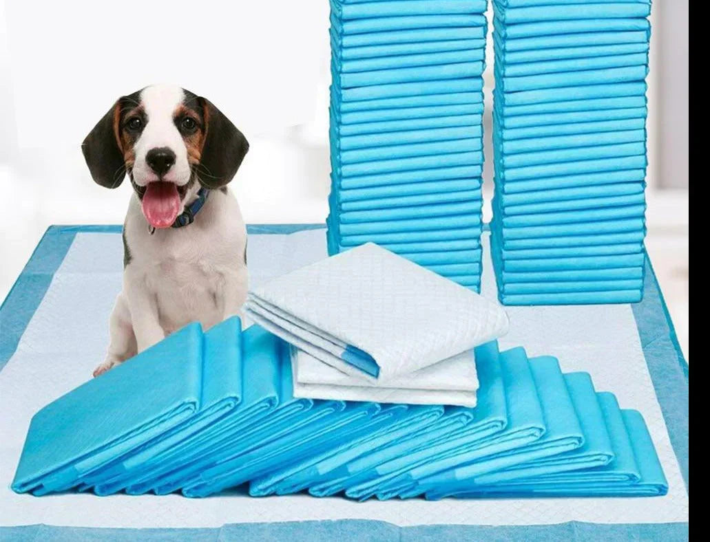 Pads D'apprentissage De La Propreté