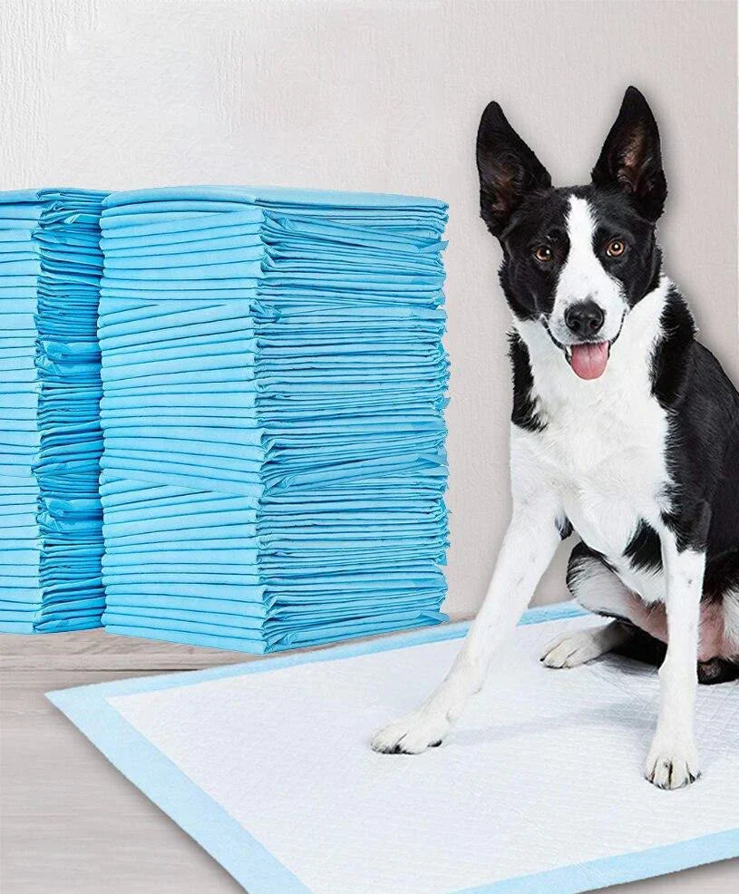 Pads D'apprentissage De La Propreté