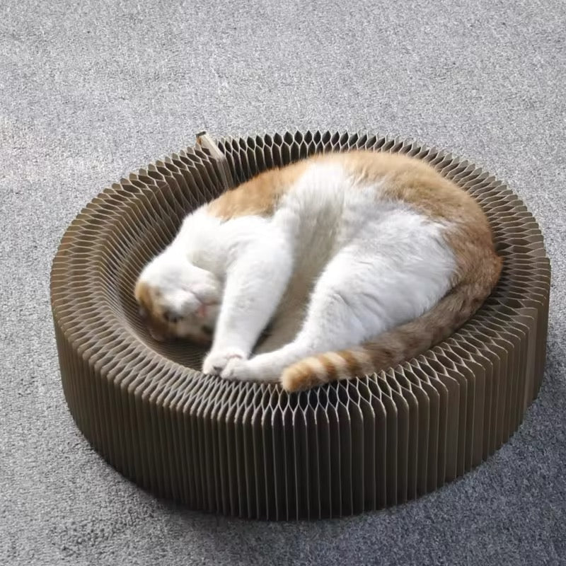 Magique Lit De Jeu Et Griffoir Pour Chats