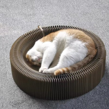 Magique Lit De Jeu Et Griffoir Pour Chats
