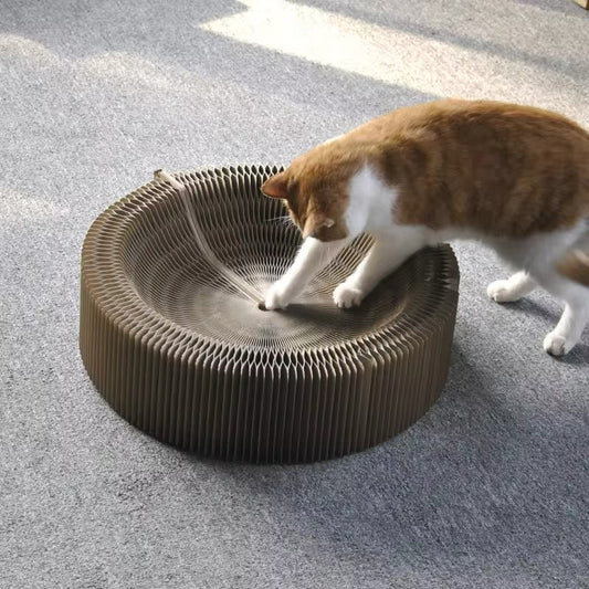 Magique Lit De Jeu Et Griffoir Pour Chats