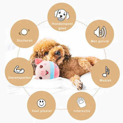Jouet Interactif Pour Chien Avec Mouvement