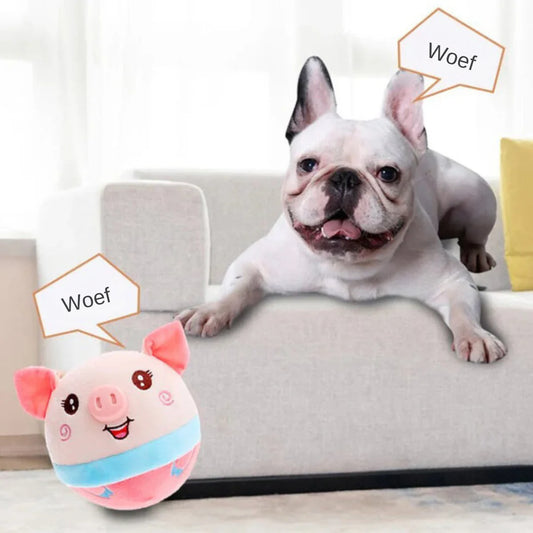 Jouet Interactif Pour Chien Avec Mouvement
