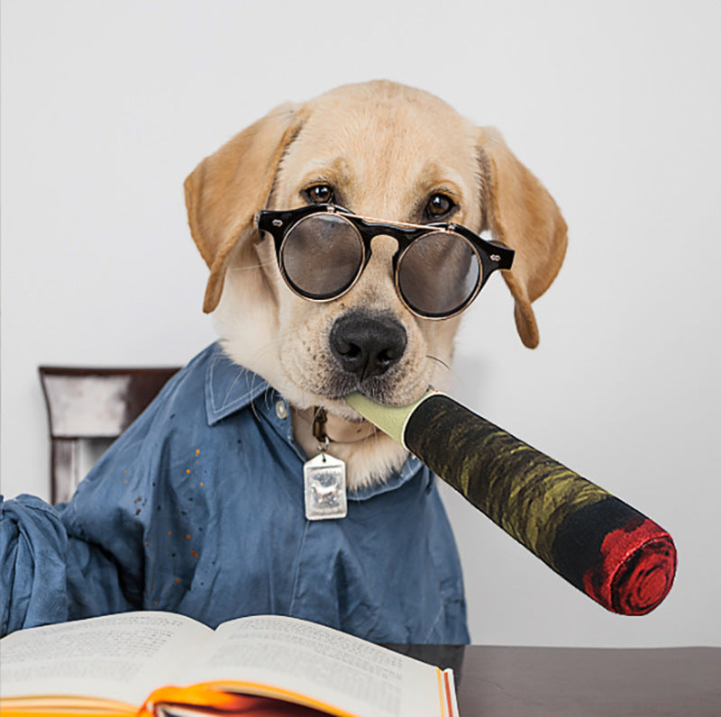 Jouet À Mâcher Pour Chiens Cigare