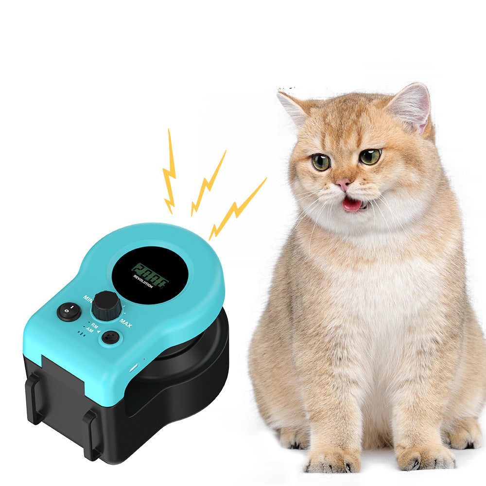 Jouet Pour Chat Chasse À La Corde