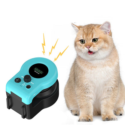 Jouet Pour Chat Chasse À La Corde