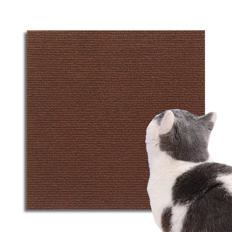 Protection Universelle Contre Les Griffes Des Chats