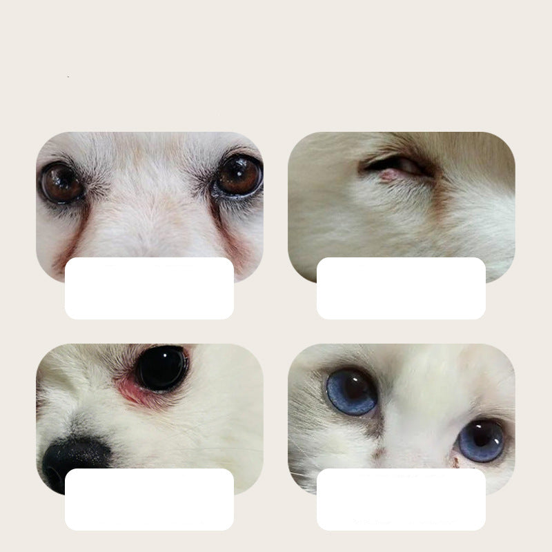 Lingettes nettoyantes pour les yeux des animaux – pour un regard propre et éclatant