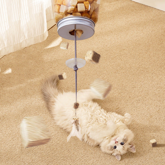 Jouet Suspendu À Friandises Pour Chats