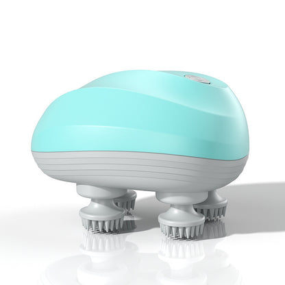 Masseur Pour Animaux Domestiques