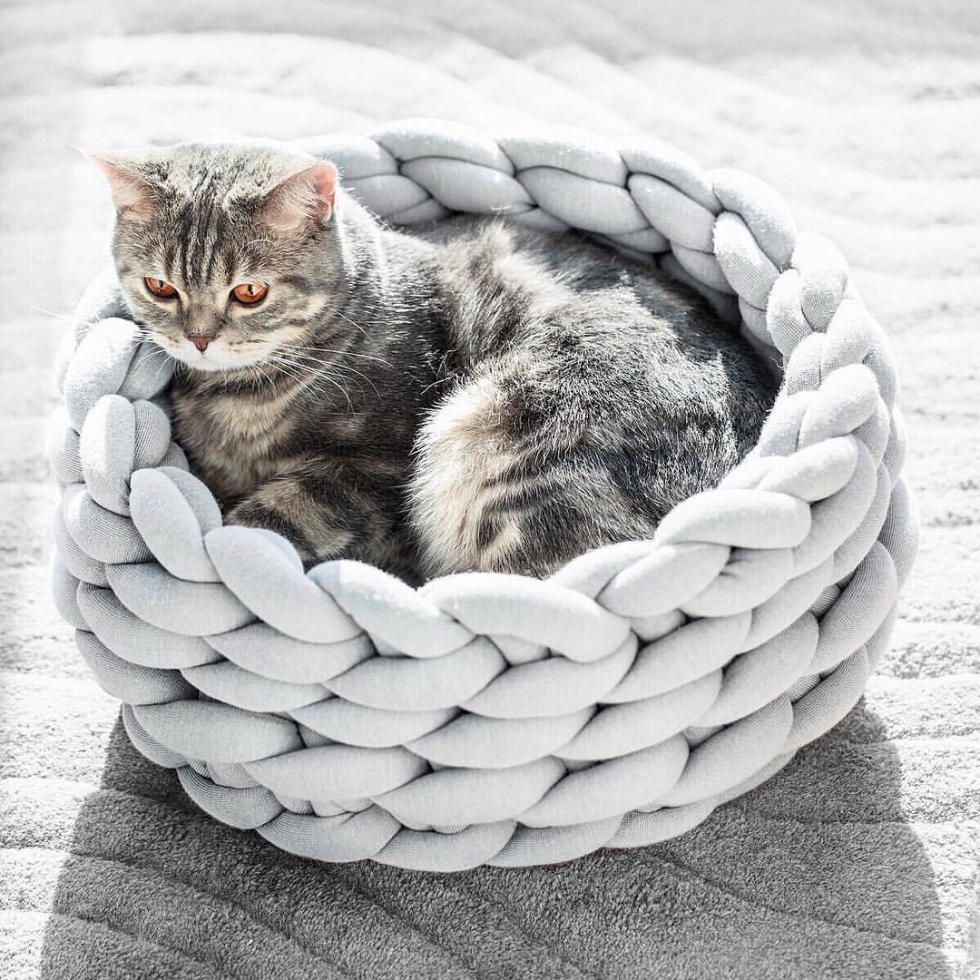 Panier Pour Chat Tressé À La Main