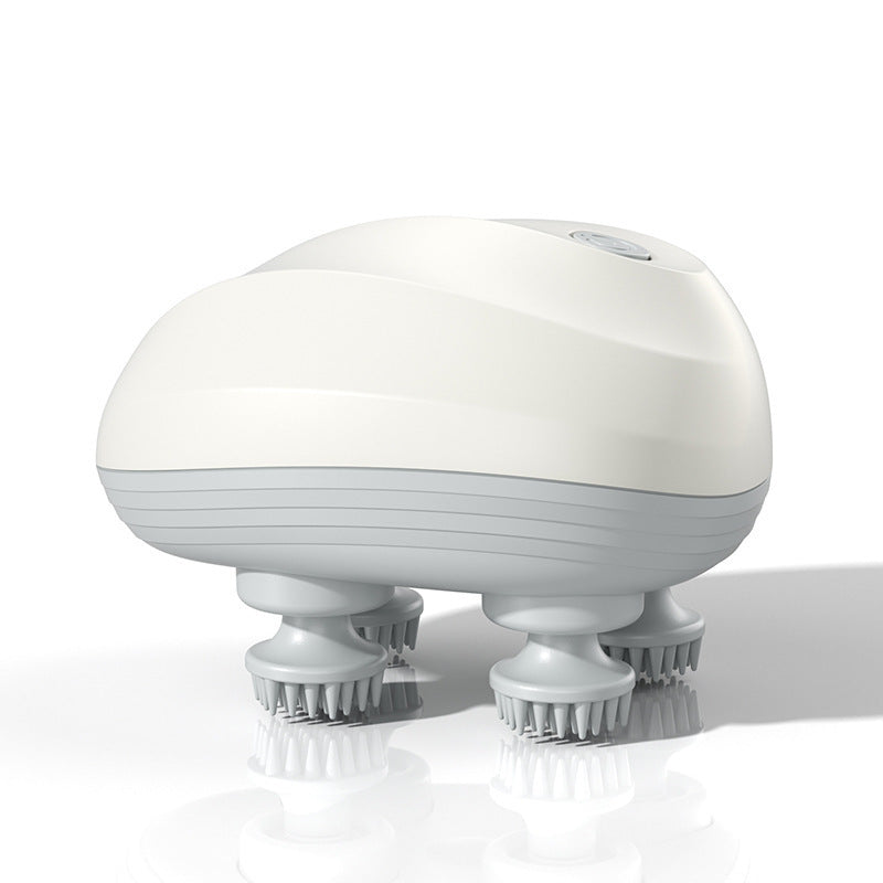 Masseur Pour Animaux Domestiques