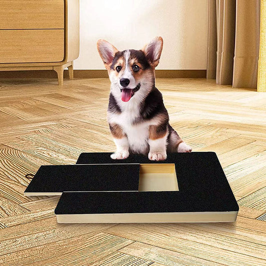 Plateau De Jeu Pour Chiens Avec Friandises Pour Raccourcir Les Griffes