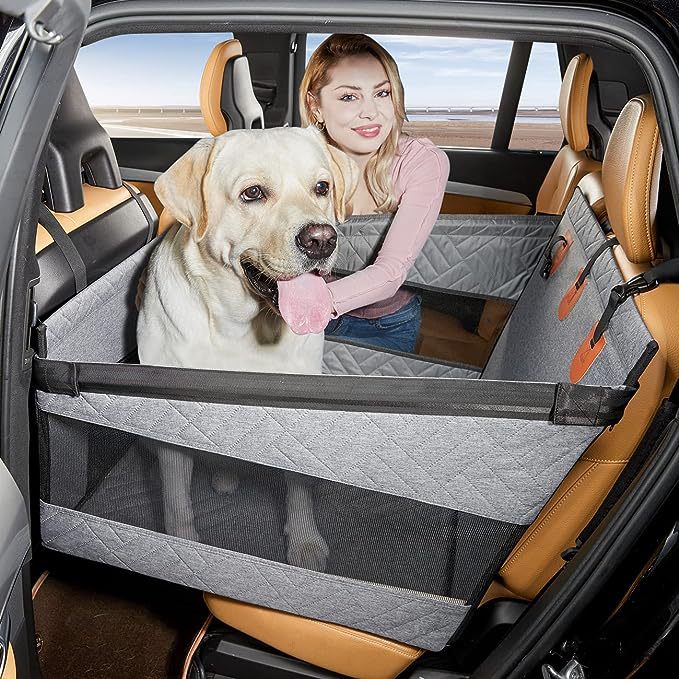 Siège Individuel Pour Chien Sur Sol Dur