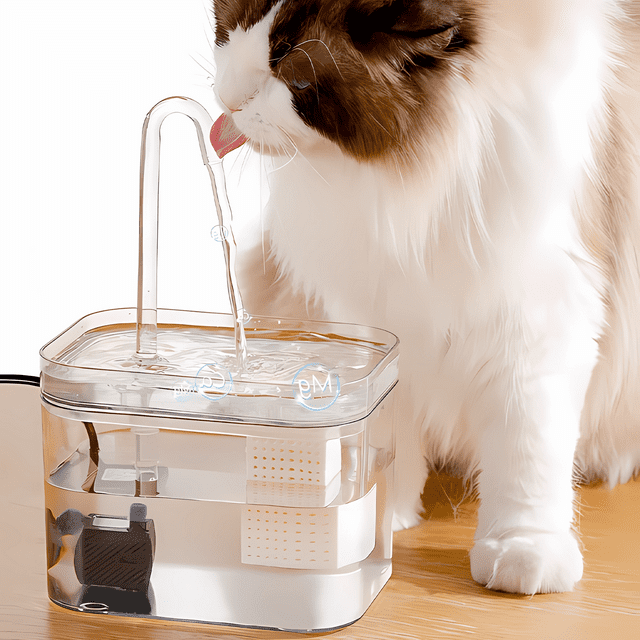 Fontaine Premium Pour Animaux Domestiques Pour Une Eau Propre