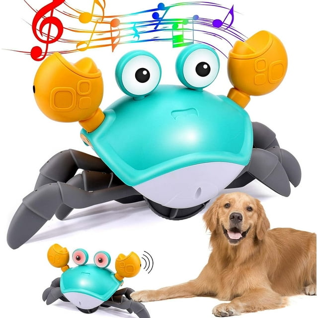 Crabe Dansant - Jouet Interactif Pour Chiens