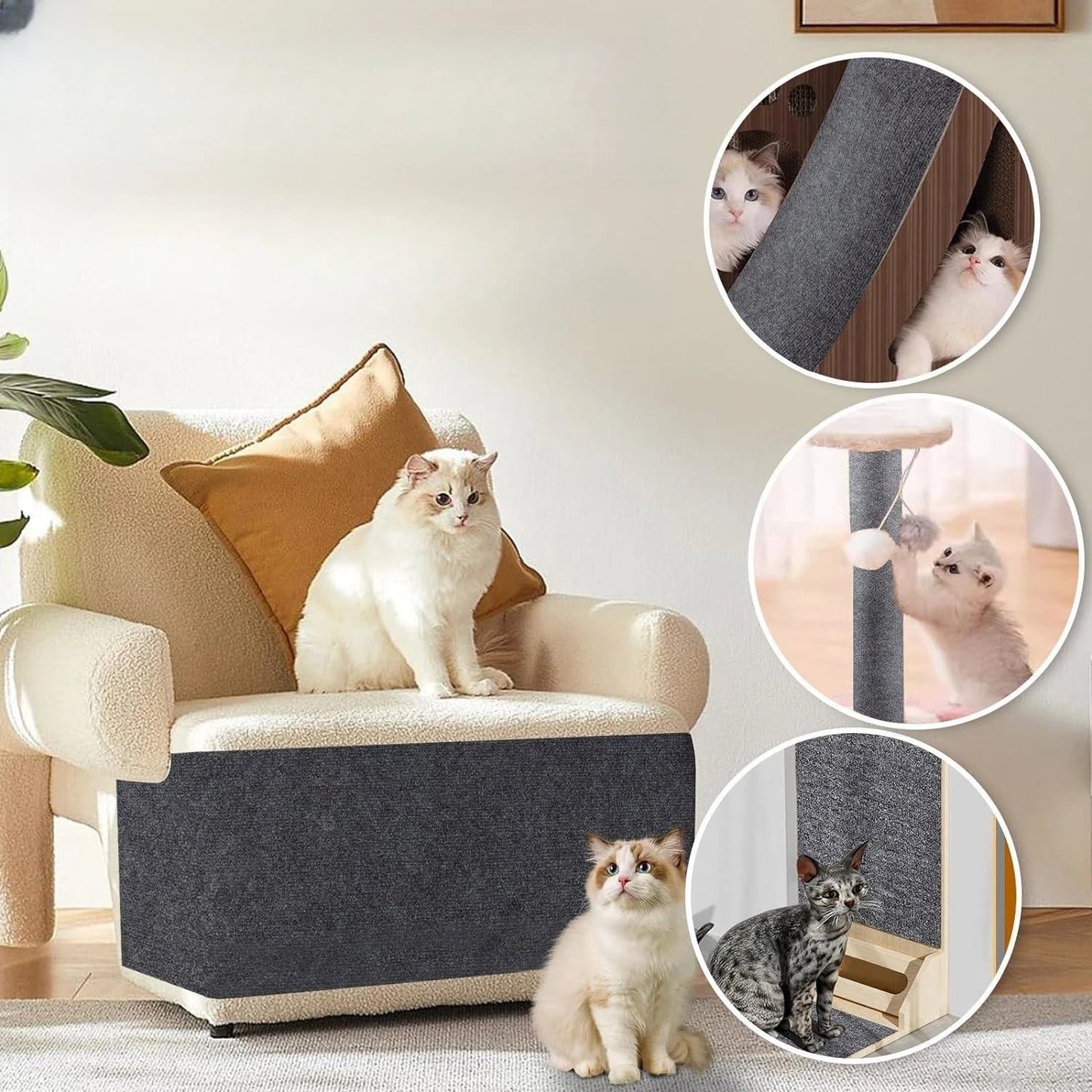 Protection Universelle Contre Les Griffes Des Chats