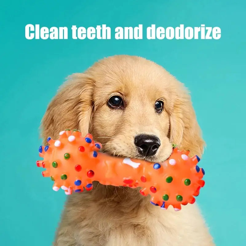 Jouets pour Chiens Balle à Mâcher - Aide Robuste à la Morsure pour L' Hygiène Dentaire Haleine Fraîche