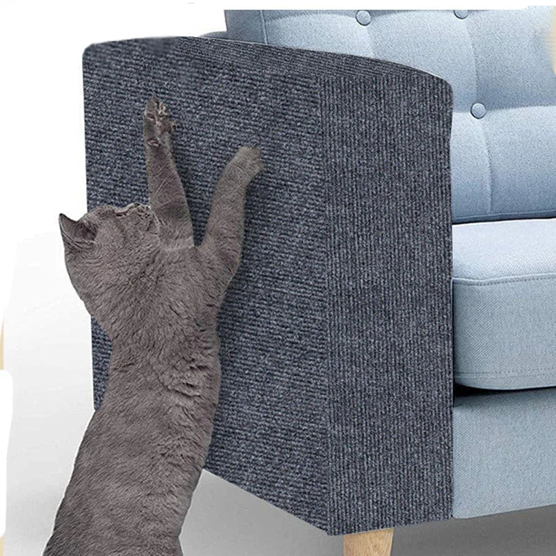 Protection Universelle Contre Les Griffes Des Chats