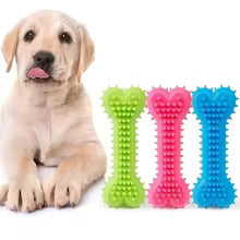 Jouets à Mâcher pour Chiens - Os Robuste à Mordre avec Picots