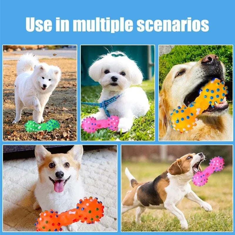 Jouets pour Chiens Balle à Mâcher - Aide Robuste à la Morsure pour L' Hygiène Dentaire Haleine Fraîche