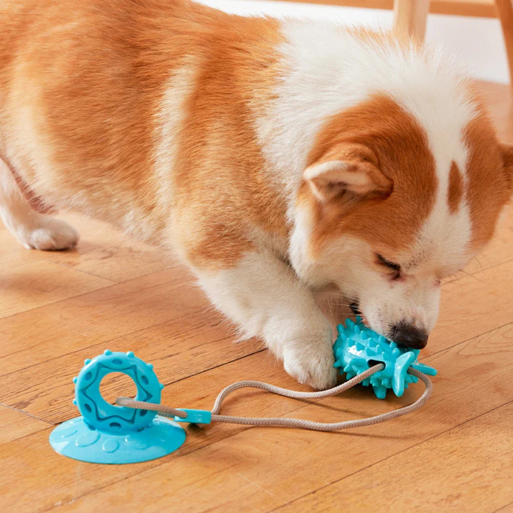 Jouet Friandise À Ventouse Pour Chiens