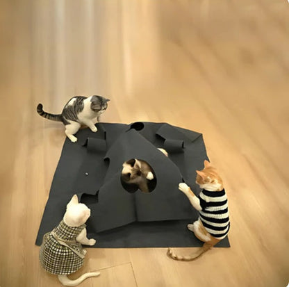 Tapis De Jeu Et De Cachette Créatif Pour Chats