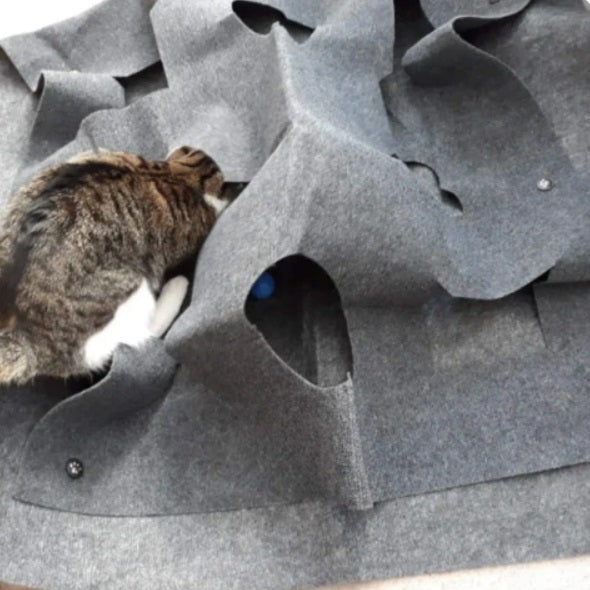 Tapis De Jeu Et De Cachette Créatif Pour Chats