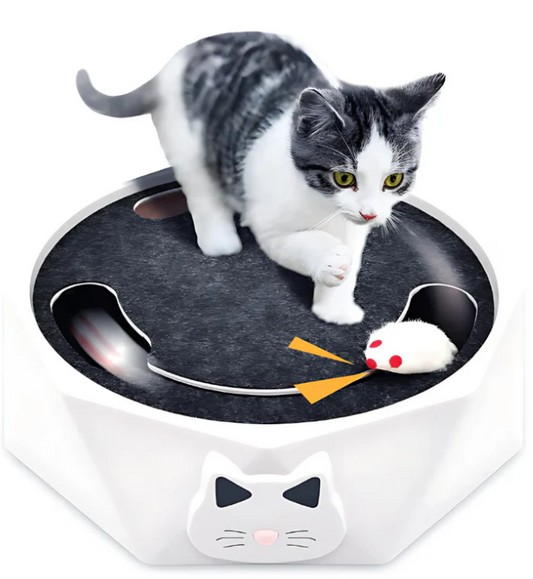 Jouet Interactif Pour Chats Avec Souris Mobile