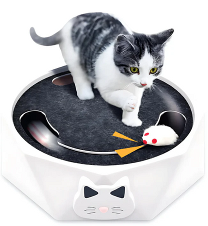 Jouet Interactif Pour Chats Avec Souris Mobile