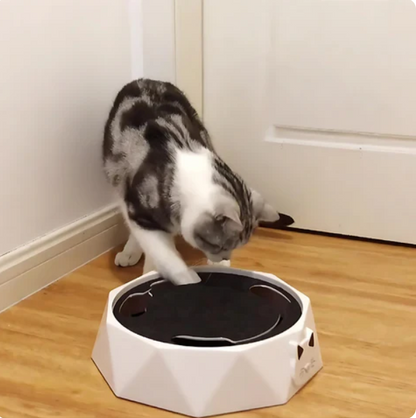 Jouet Interactif Pour Chats Avec Souris Mobile