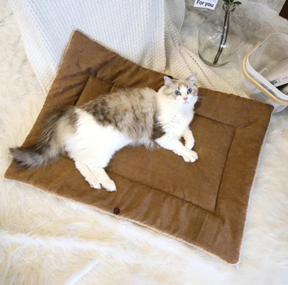 Lit Douillet Et Couverture 2-en-1 Pour Chats