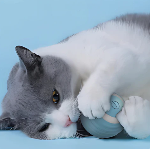 Balle De Jeu Roulante Pour Chats Avec Queue En Plumes