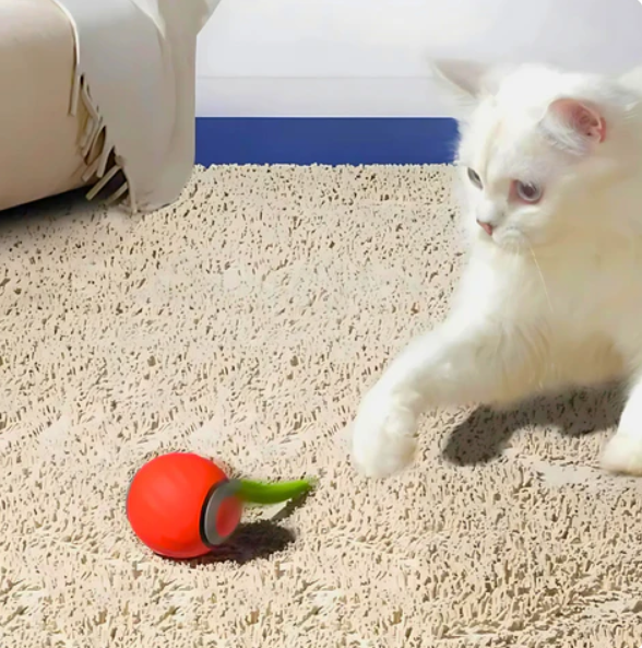 Balle De Jeu Roulante Pour Chats Avec Queue En Plumes
