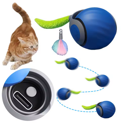Balle De Jeu Roulante Pour Chats Avec Queue En Plumes