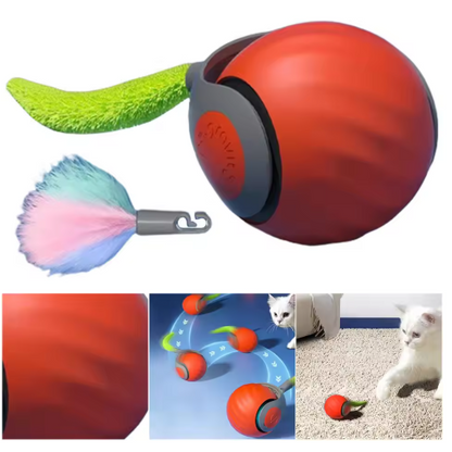 Balle De Jeu Roulante Pour Chats Avec Queue En Plumes