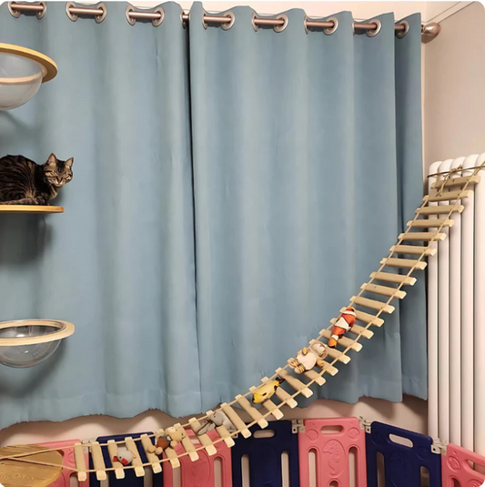 Pont Suspendu Et Échelle Murale Pour Chats