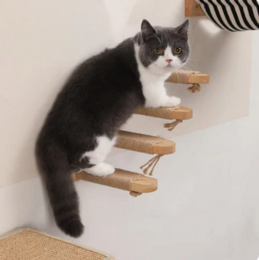 Escaliers D'escalade Pour Chats Deluxe – Montage Mural Avec Corde En Sisal