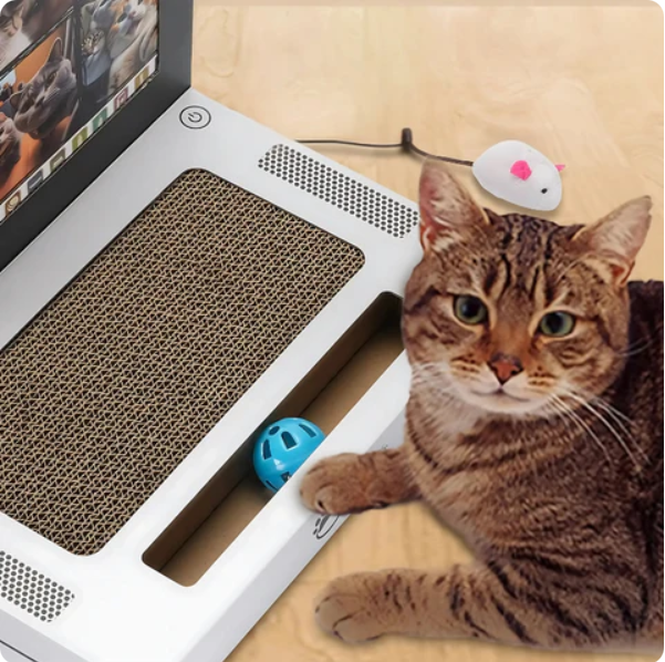Griffoir Pour Chats En Forme De Laptop