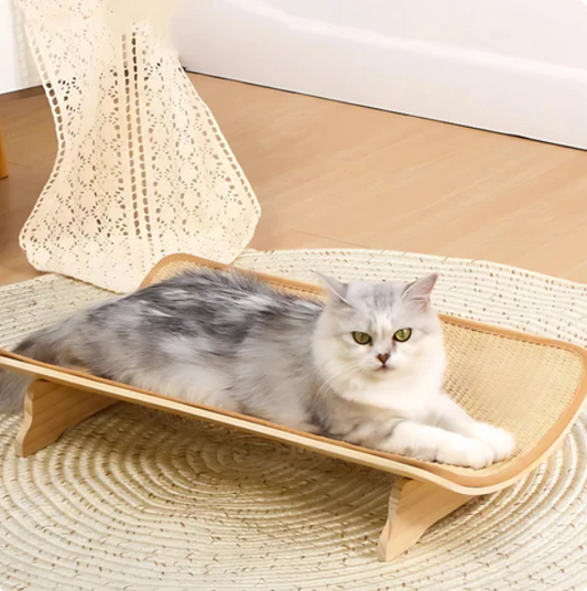 Lit Calme Pour Chat Avec Tapis À Griffer Ergonomique