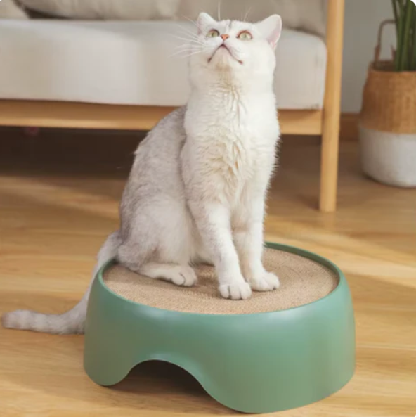 Lit Multifonction Pour Chat Avec Surface À Gratter Et Coussin De Repos