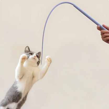 Ensemble De 2 – Baguette De Jeu Flexible Pour Chats – Divertissement Interactif