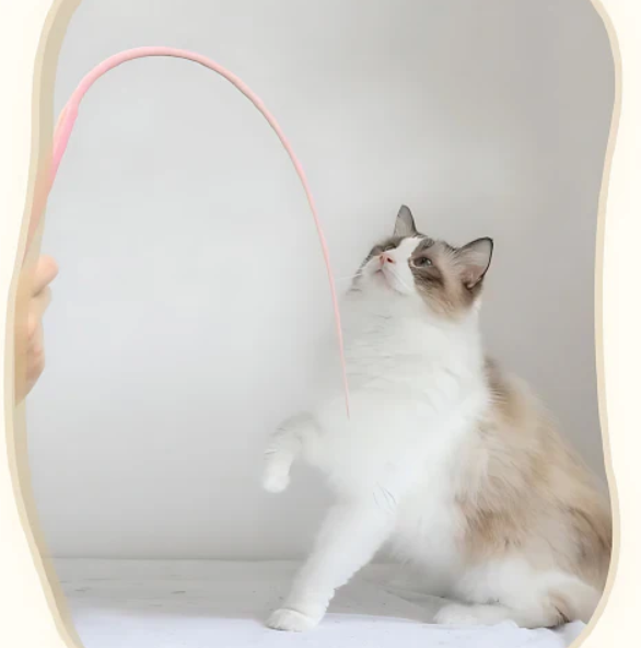 Ensemble De 2 – Baguette De Jeu Flexible Pour Chats – Divertissement Interactif