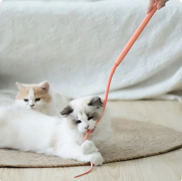 Ensemble De 2 – Baguette De Jeu Flexible Pour Chats – Divertissement Interactif