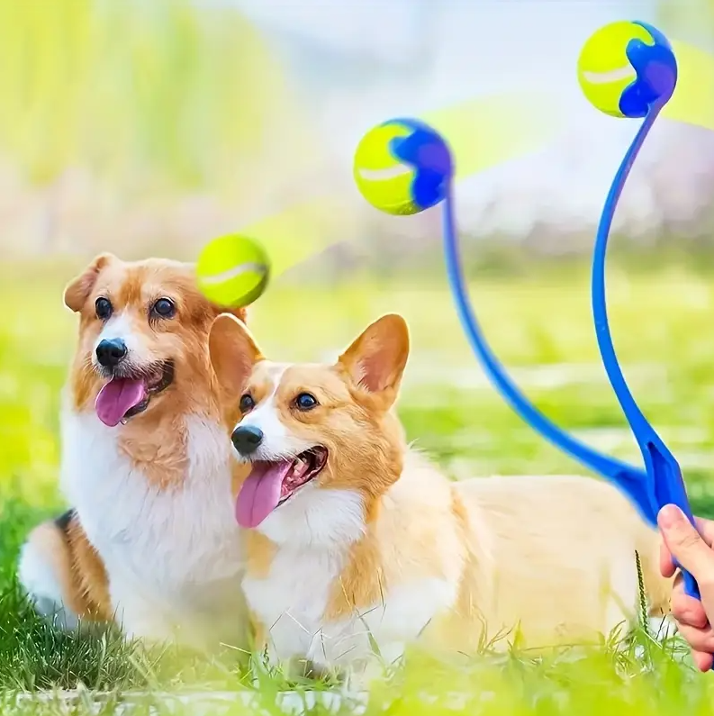Les Lanceurs de Balles pour Chiens - un Jeu de Lancer Loin pour les Quadrupèdes Actifs