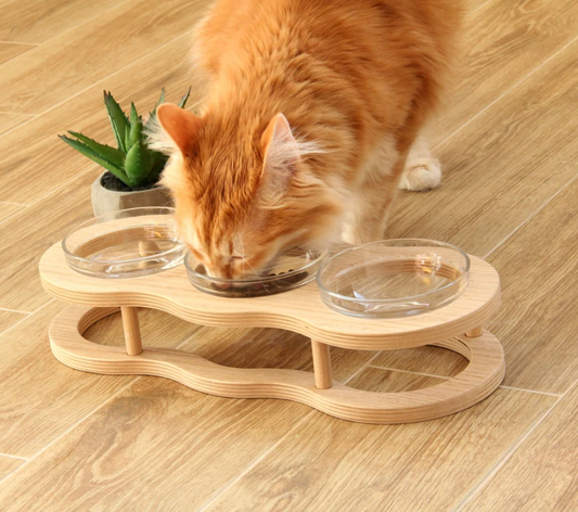 Ecuelle Surélevée en Bois et Verre pour Chiens et Chats avec Support Antidérapant